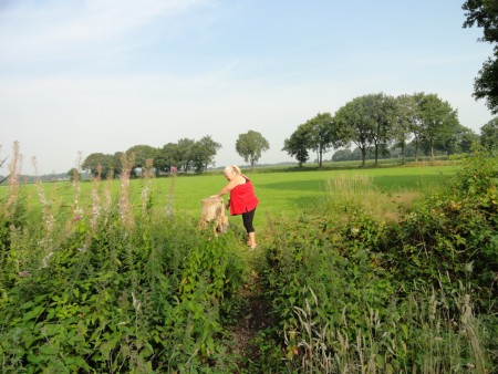 WAAR ZIT HIJ VERSTOPT?